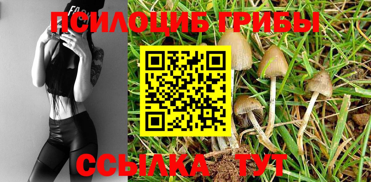 Псилоцибиновые грибы GOLDEN TEACHER Жуковский