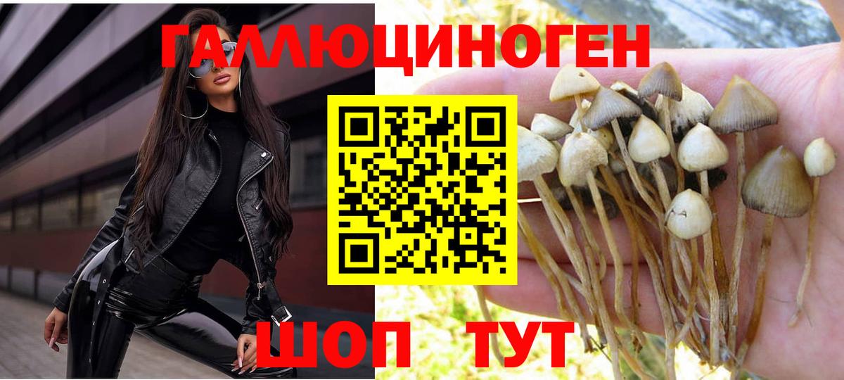 Галлюциногенные грибы мухоморы  Вход с VPN  Жуковский 