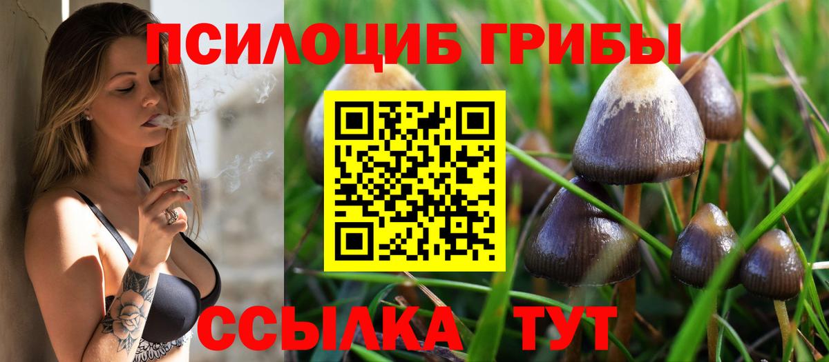  COCAIN Жуковский